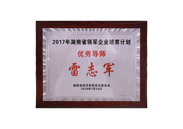 2017年湖南省领军企业培育计划优秀导师“雷志军”牌匾