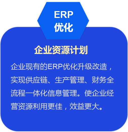 ERP企业资源计划